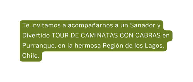 Te invitamos a acompañarnos a un Sanador y Divertido TOUR DE CAMINATAS CON CABRAS en Purranque en la hermosa Región de los Lagos Chile